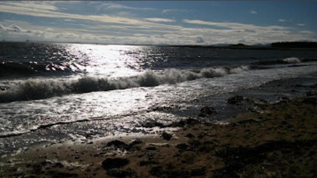 Coastal Caravan Elie Exterior foto